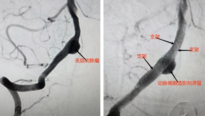 1683185978683679.jpg 微信圖片_20230504152934.jpg