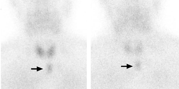 1688713786336024.png 640 (4).png