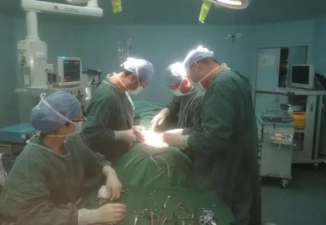 我院肝膽血管外科成功獨(dú)立實(shí)施下肢動(dòng)脈搭橋(轉(zhuǎn)流)術(shù)